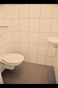 Toilet1